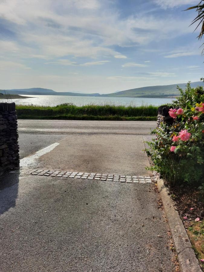 Green Garden Meets Blue Sea For 2 People ディングル エクステリア 写真